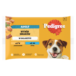 Pedigree Adult Wybór Smaków w galaretce 4x 100g
